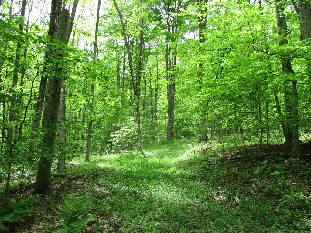 Picture 25