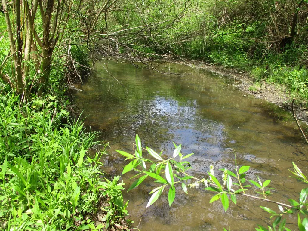 Picture 13