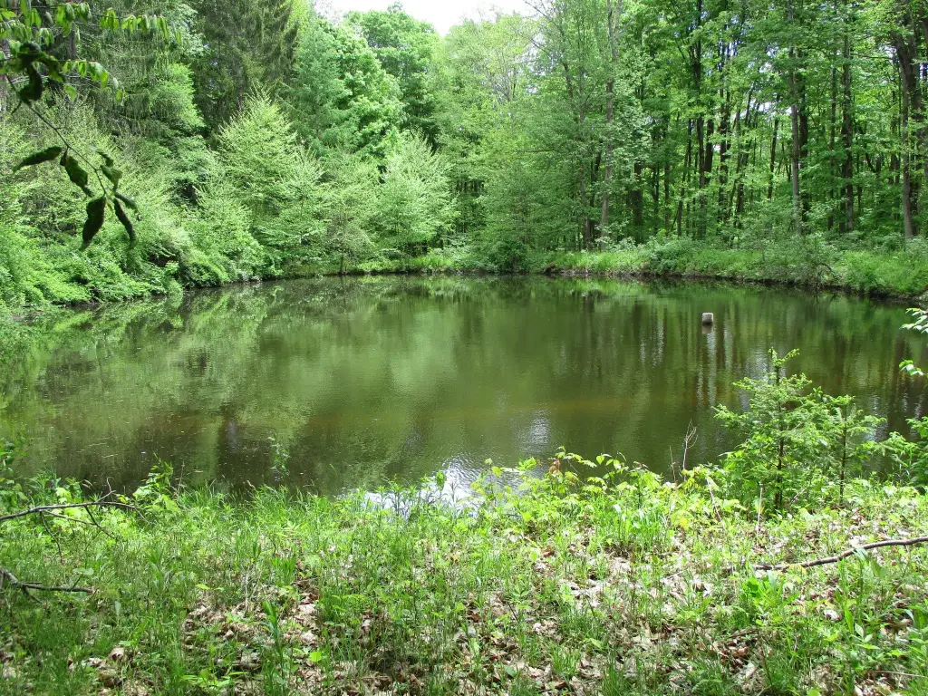 Picture 11
