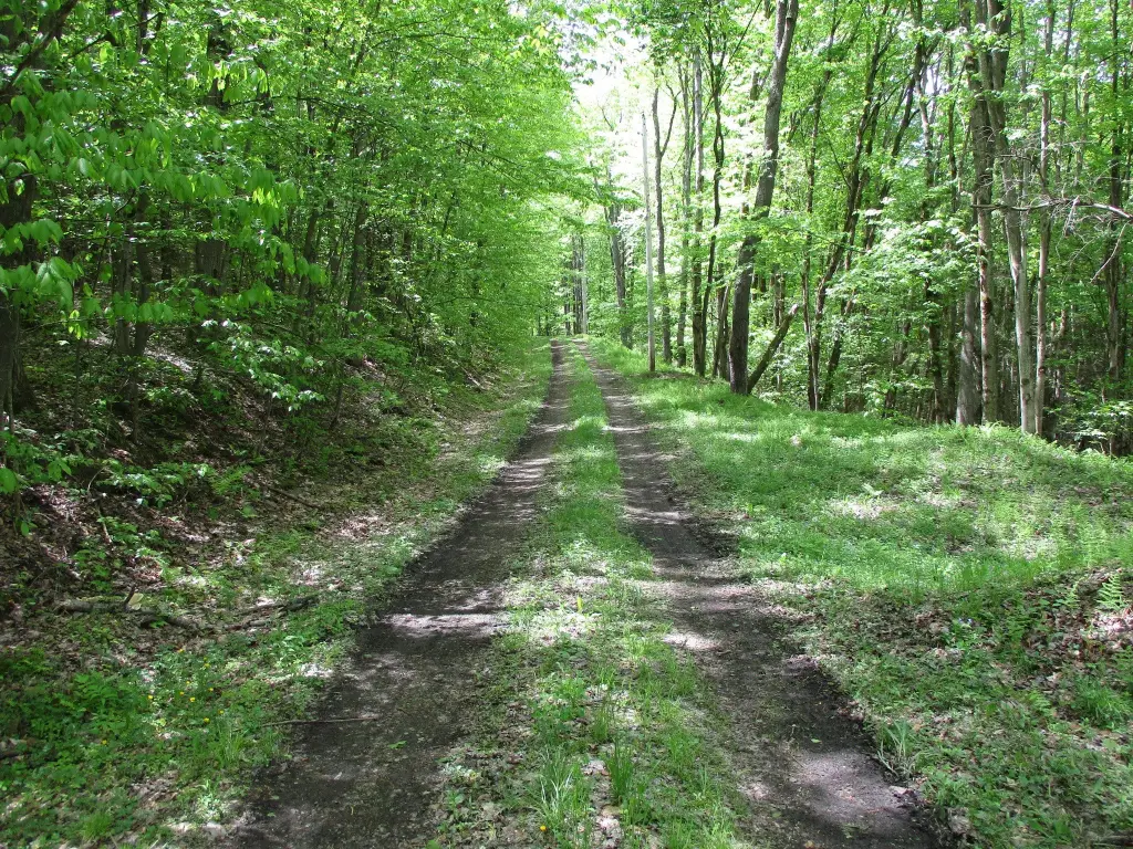 Picture 30