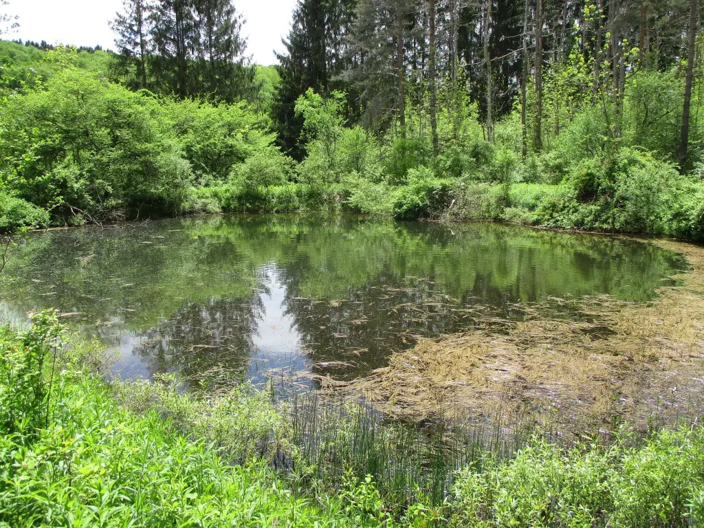 Picture 14
