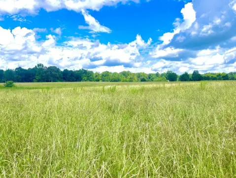 Vincent, AL Vacant Land