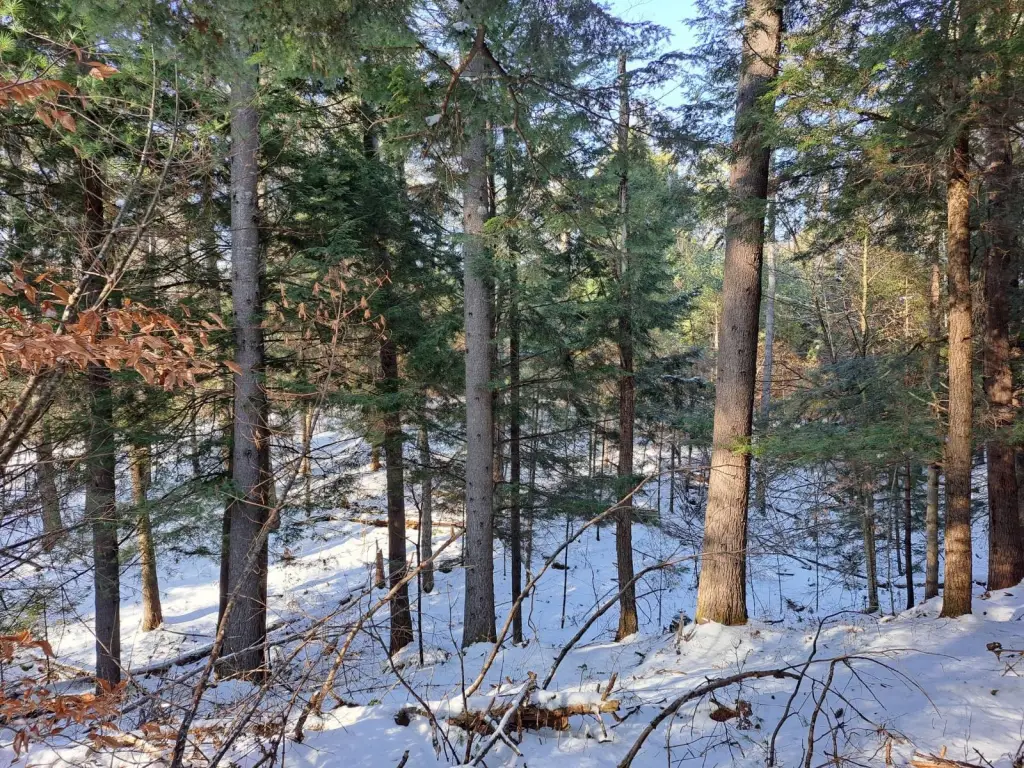 Picture 47