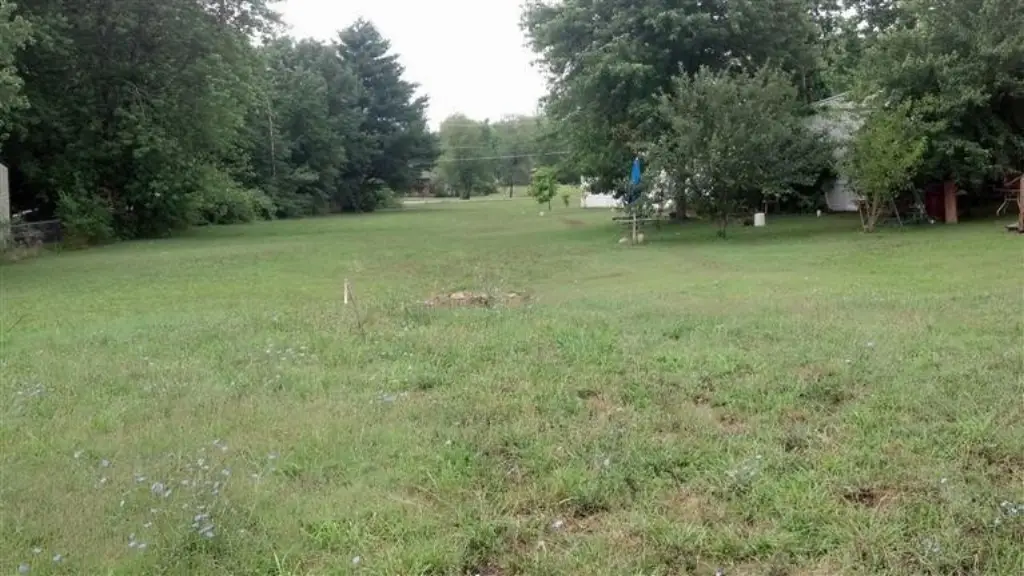 Picture 11
