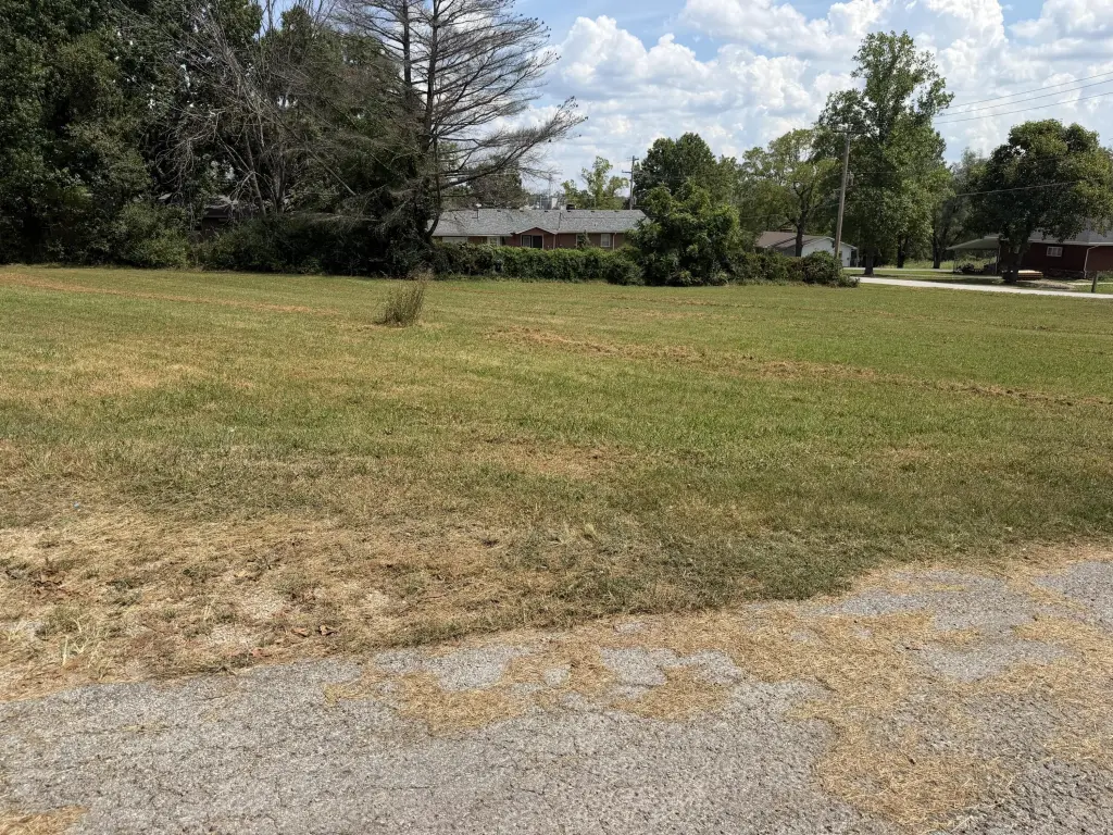 Picture 25