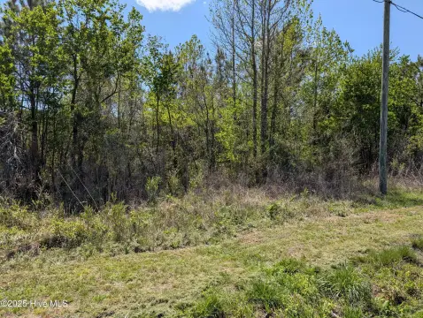 Chinquapin, NC Acreage for Sale