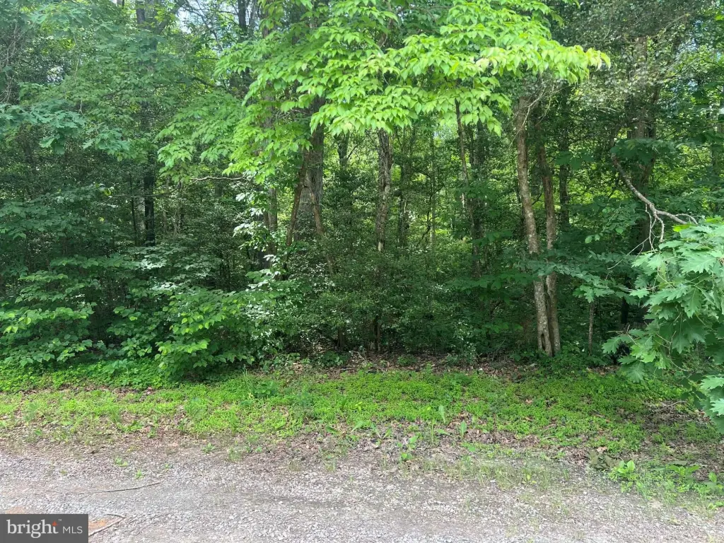 Picture 3