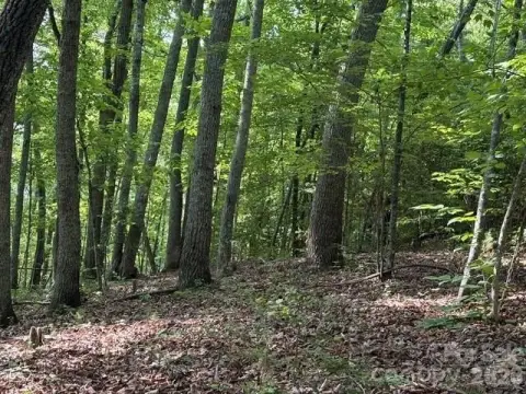 9.75 Acres Wooded Land