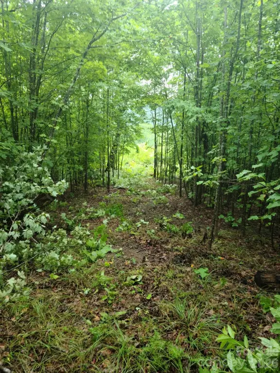 Picture 18