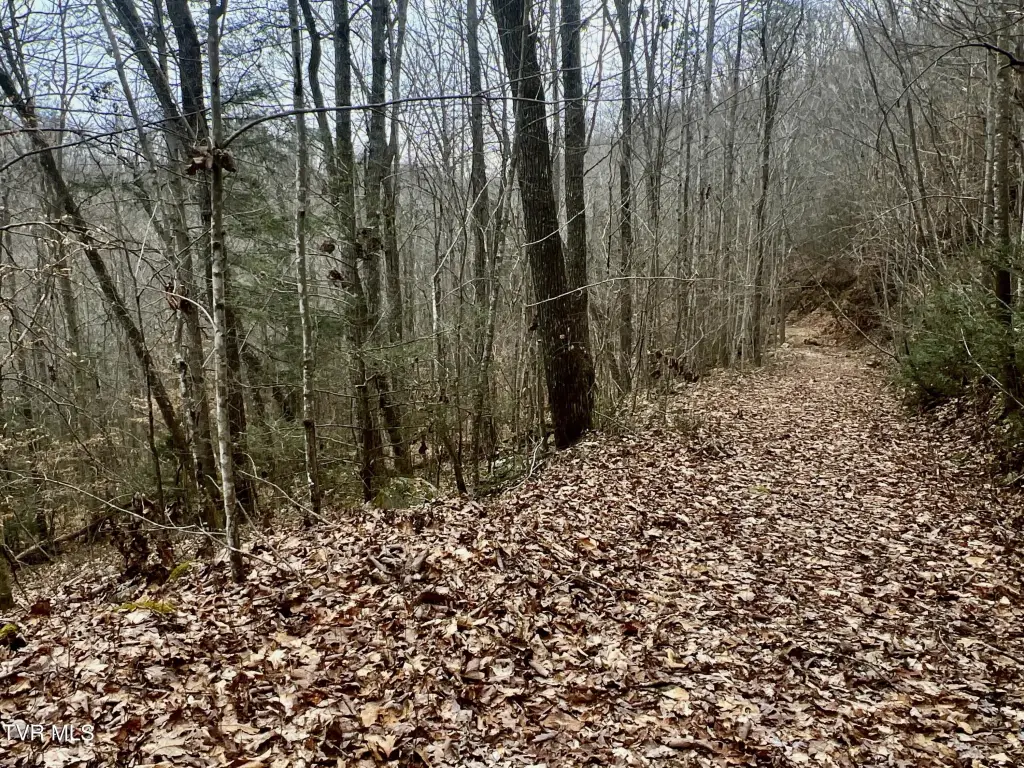 Picture 18