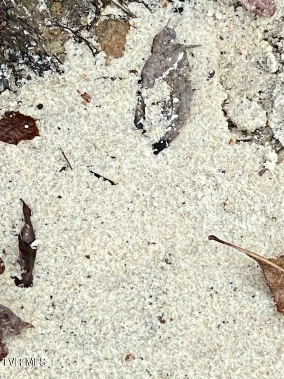 Picture 48