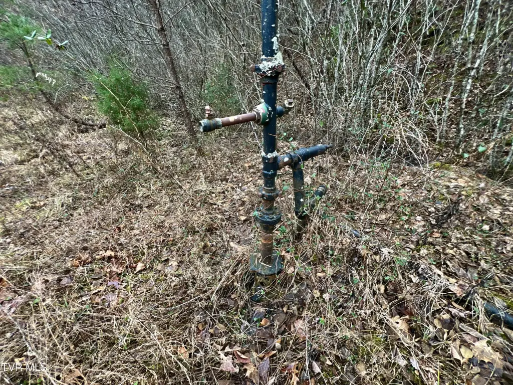 Picture 16