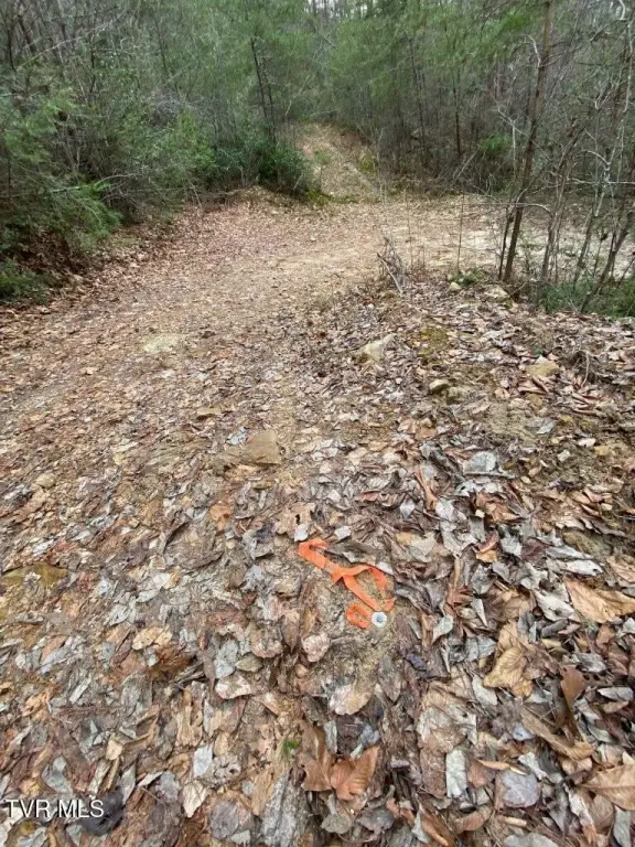 Picture 21