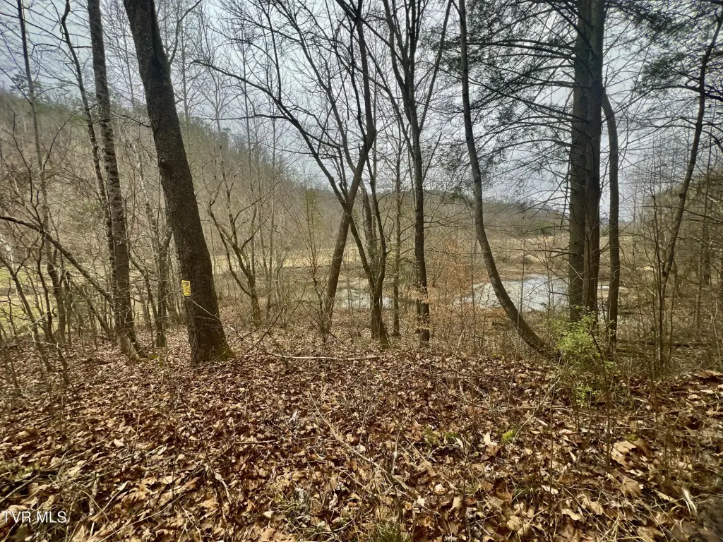 Picture 45