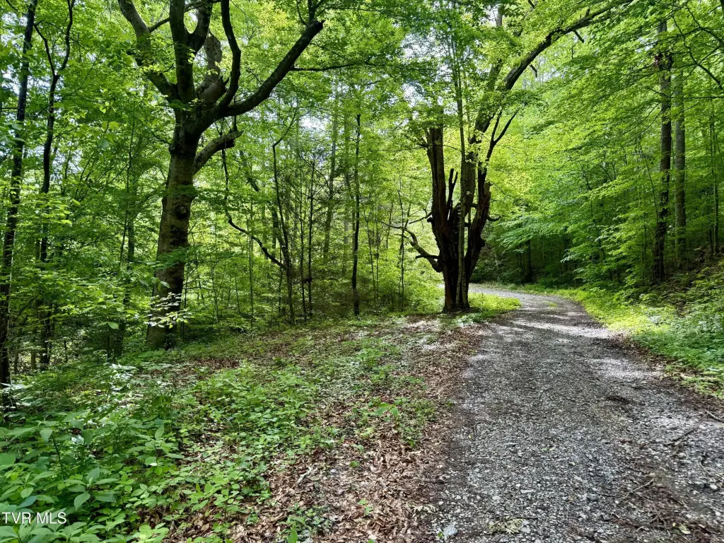Picture 7