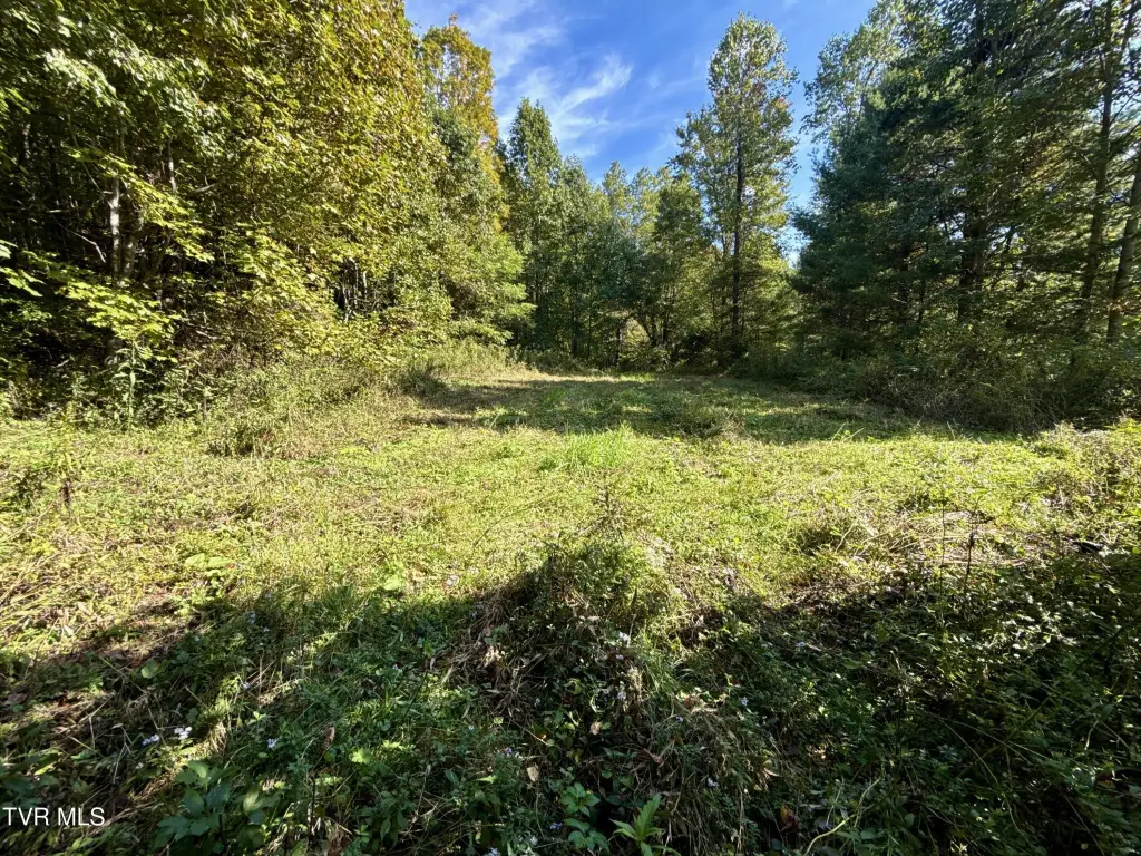 Picture 51