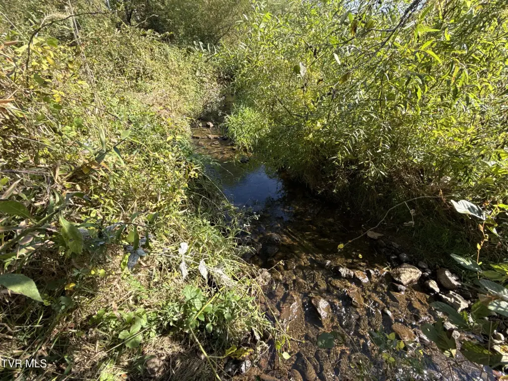 Picture 47