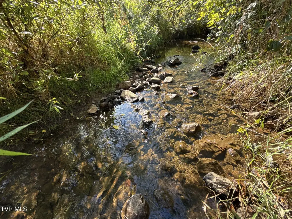 Picture 46