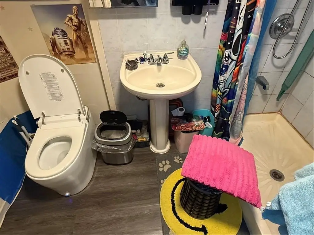 Picture 11