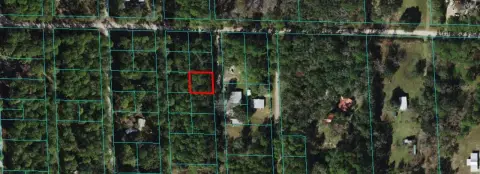 Citra, FL Land For Sale