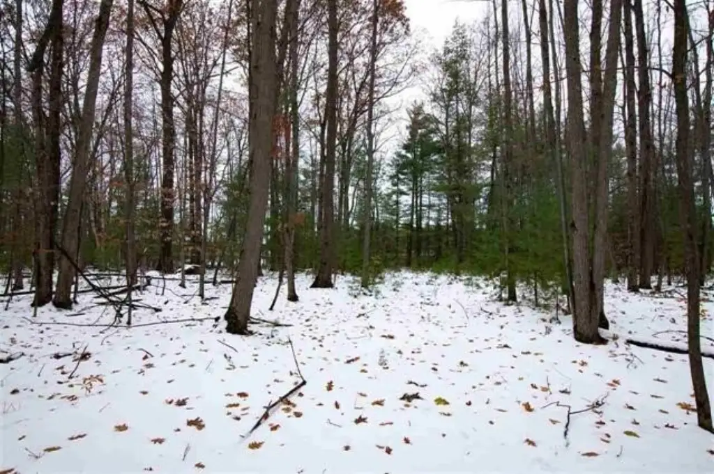 Picture 16