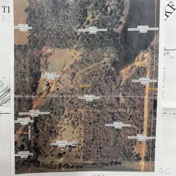 Unimproved Land in Plain Dealing