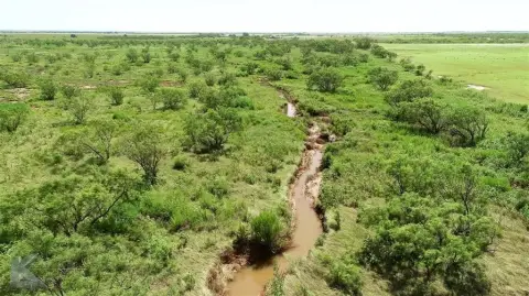 Avoca, TX Unimproved Land