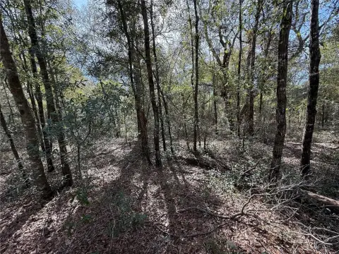 Bronson Acreage Building Parcel