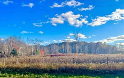 Wooded Land Parcel with Fencing