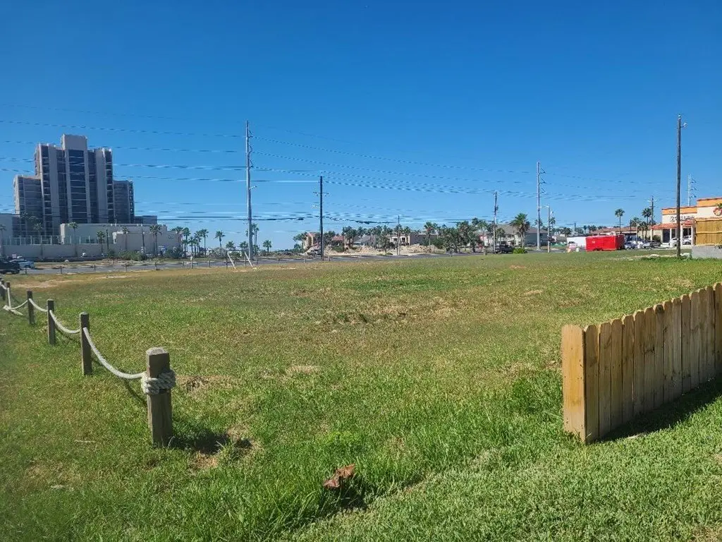 Picture 5
