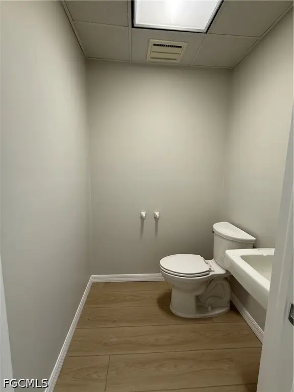 Picture 18