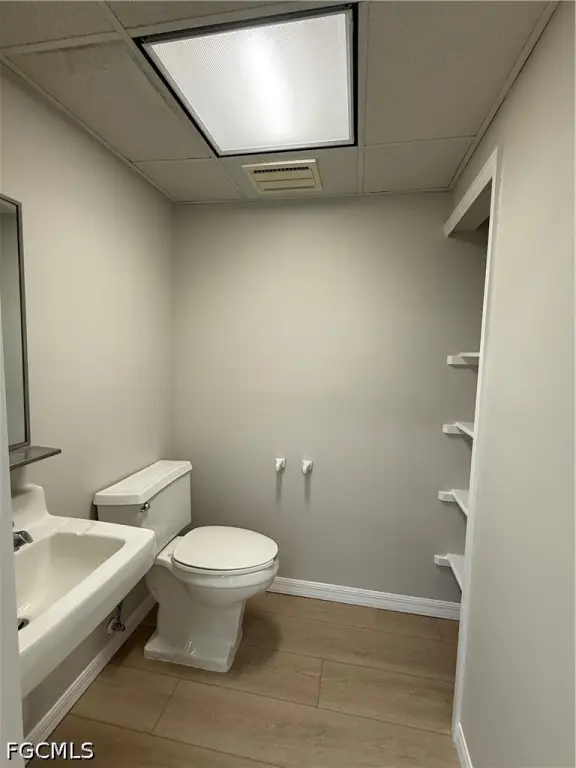 Picture 19