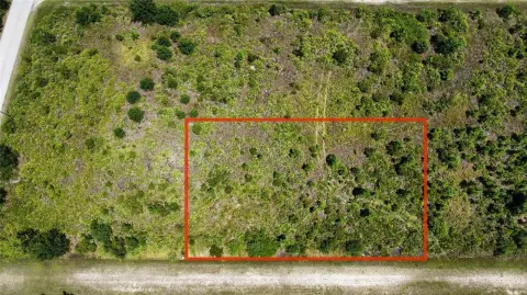 Expansive Vacant Lot in Florida