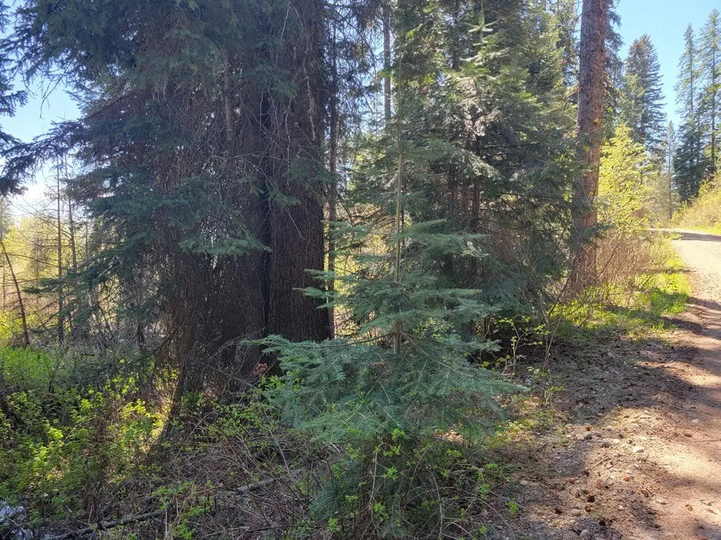 Picture 2