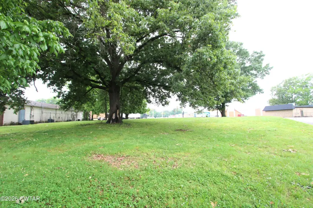 Picture 12