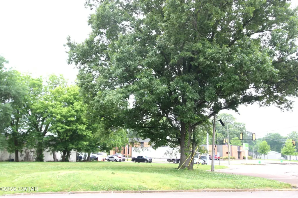 Picture 5