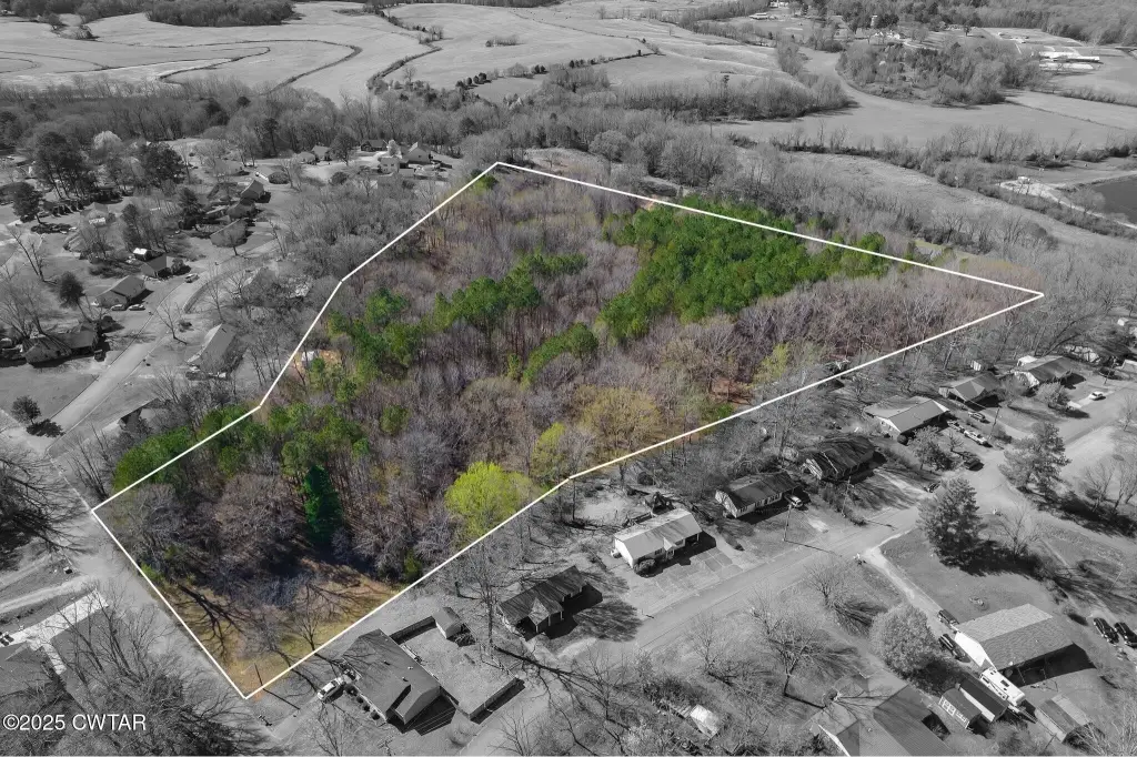 Picture 7