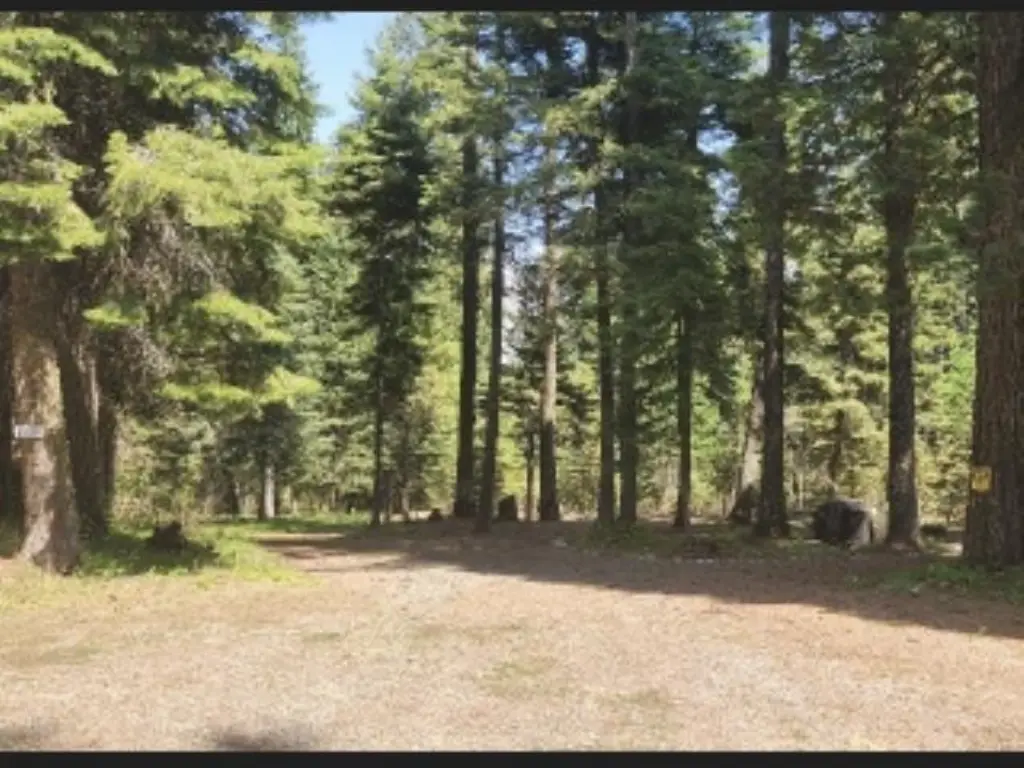 Picture 20