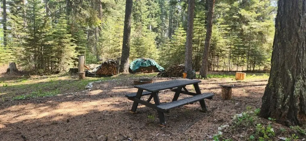 Picture 13