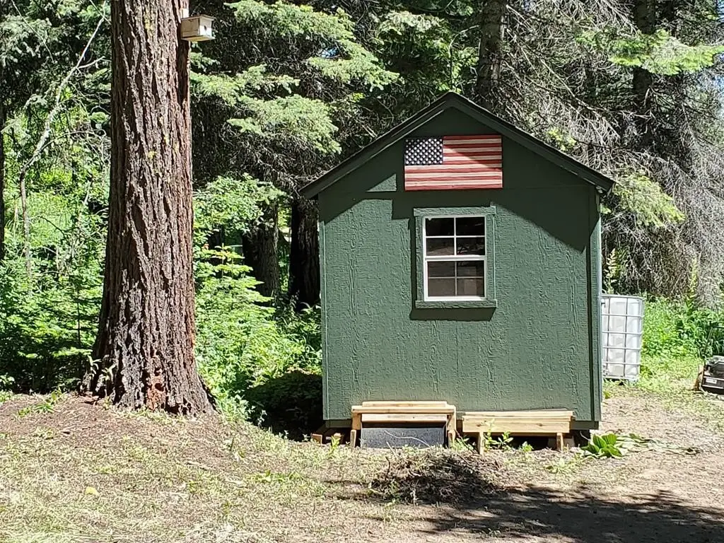 Picture 16