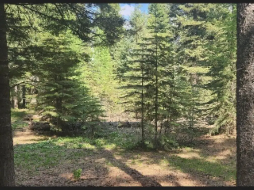 Picture 22
