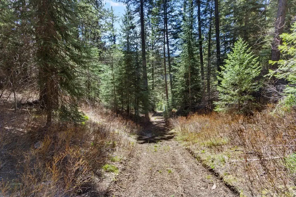 Picture 18