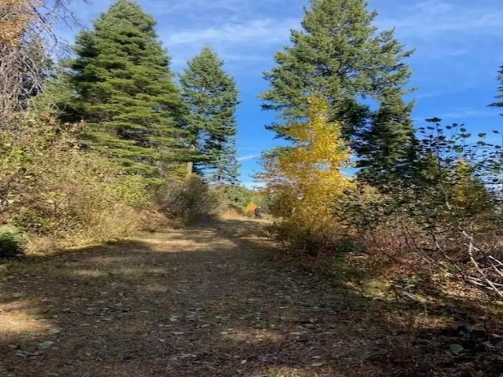 Picture 10