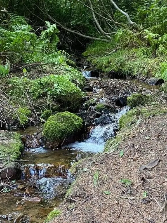 Picture 6