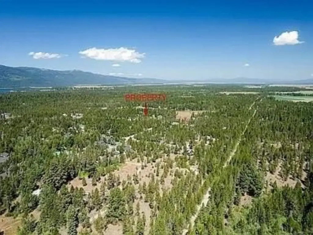 Picture 8