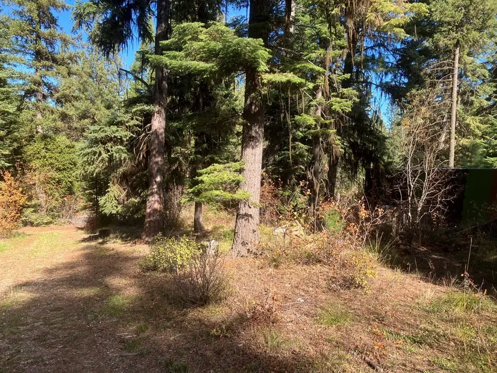 Picture 5