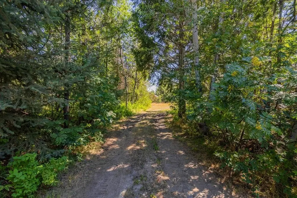 Picture 28