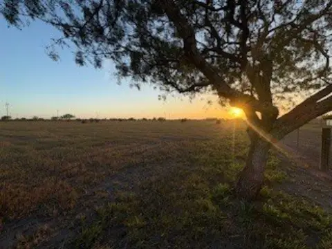 Odem, TX 13-Acre Land