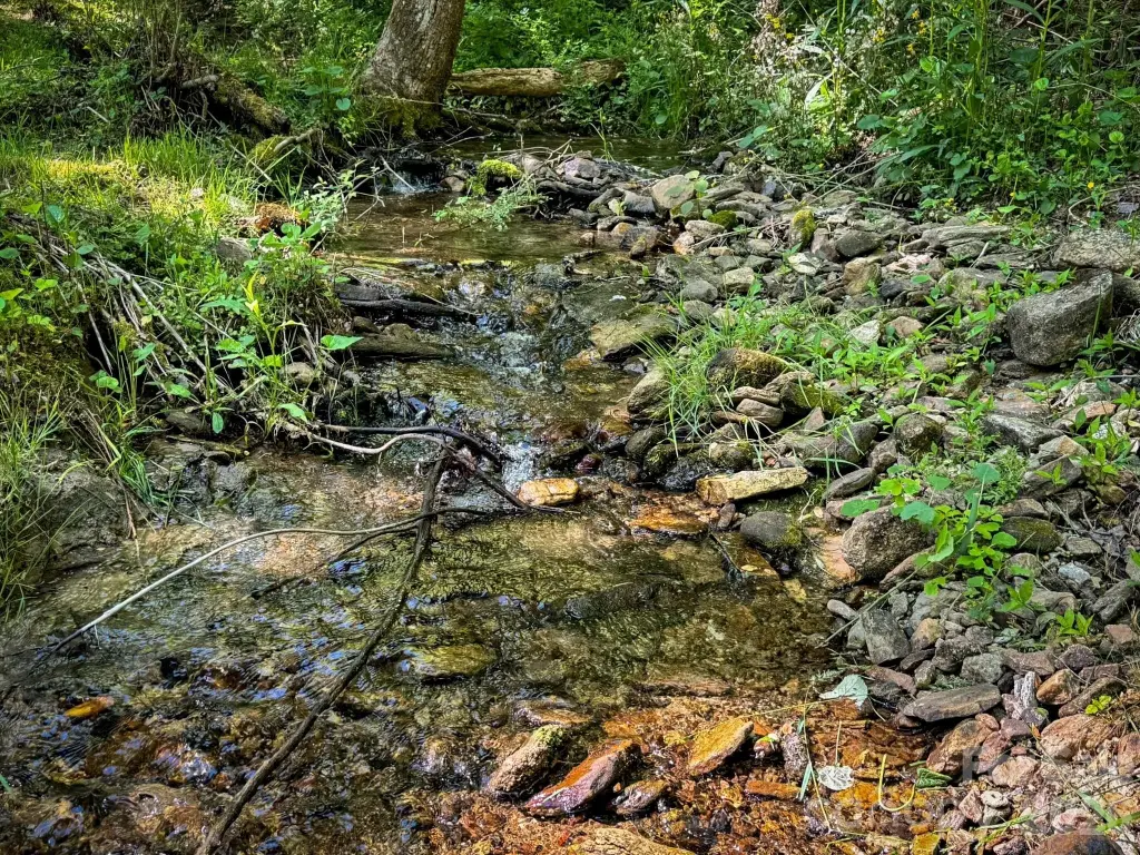 Picture 42