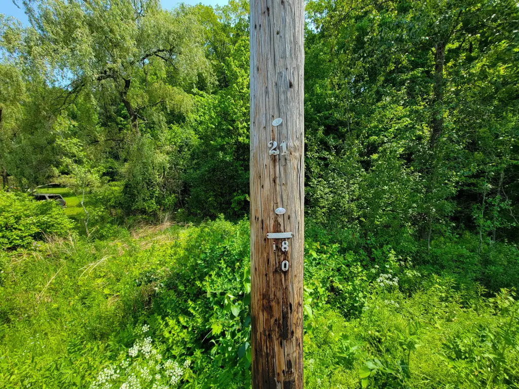 Picture 23